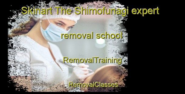 Skinart The Shimofunagi expert removal school | RemovalTraining | RemovalClasses | SkinartTraining-Japan