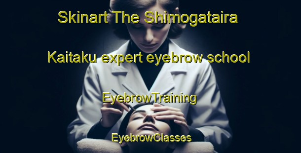 Skinart The Shimogataira Kaitaku expert eyebrow school | EyebrowTraining | EyebrowClasses | SkinartTraining-Japan