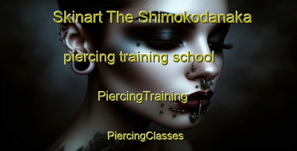 Skinart The Shimokodanaka piercing training school | PiercingTraining | PiercingClasses | SkinartTraining-Japan