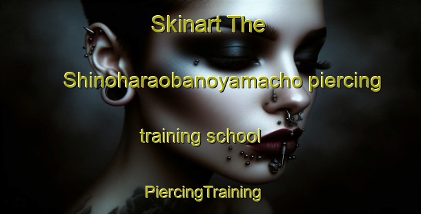 Skinart The Shinoharaobanoyamacho piercing training school | PiercingTraining | PiercingClasses | SkinartTraining-Japan