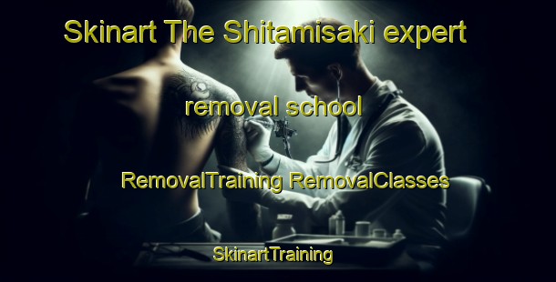 Skinart The Shitamisaki expert removal school | #RemovalTraining #RemovalClasses #SkinartTraining-Japan