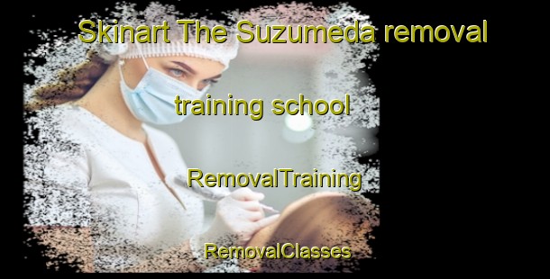 Skinart The Suzumeda removal training school | RemovalTraining | RemovalClasses | SkinartTraining-Japan