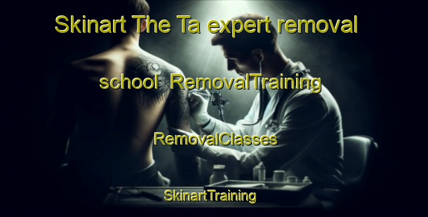 Skinart The Ta expert removal school | RemovalTraining | RemovalClasses | SkinartTraining-Japan