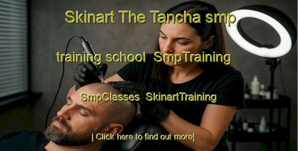 Skinart The Tancha smp training school | SmpTraining | SmpClasses | SkinartTraining-Japan