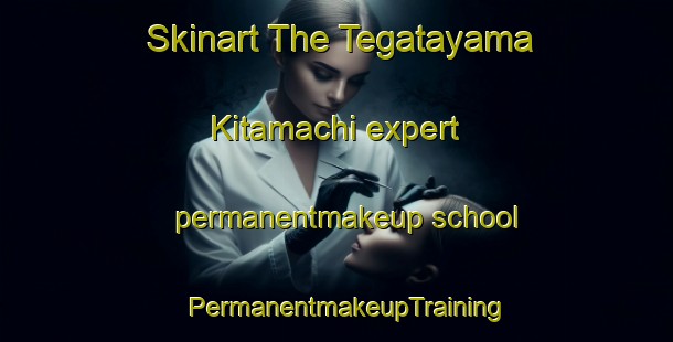 Skinart The Tegatayama Kitamachi expert permanentmakeup school | PermanentmakeupTraining | PermanentmakeupClasses | SkinartTraining-Japan