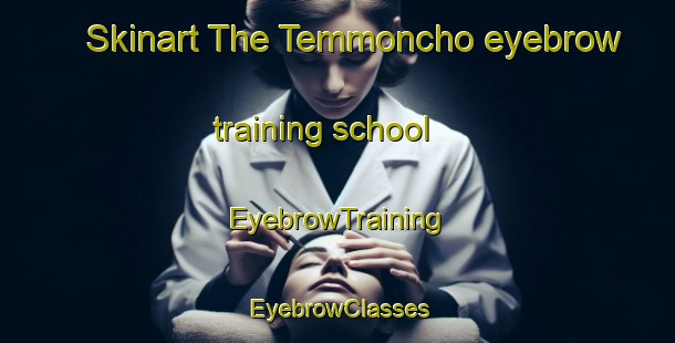 Skinart The Temmoncho eyebrow training school | EyebrowTraining | EyebrowClasses | SkinartTraining-Japan