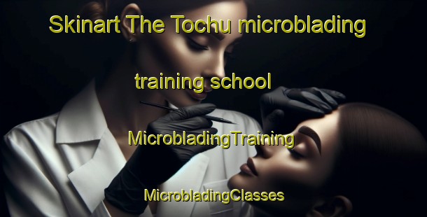 Skinart The Tochu microblading training school | #MicrobladingTraining #MicrobladingClasses #SkinartTraining-Japan