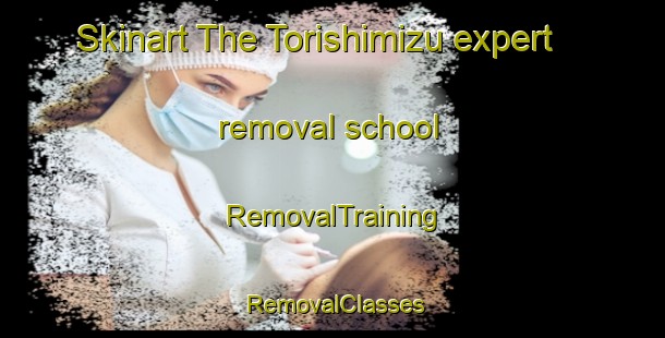 Skinart The Torishimizu expert removal school | RemovalTraining | RemovalClasses | SkinartTraining-Japan