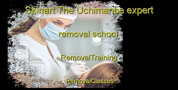 Skinart The Uchimanbe expert removal school | RemovalTraining | RemovalClasses | SkinartTraining-Japan