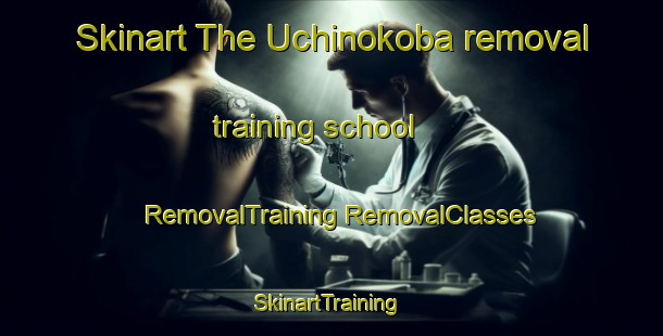 Skinart The Uchinokoba removal training school | #RemovalTraining #RemovalClasses #SkinartTraining-Japan