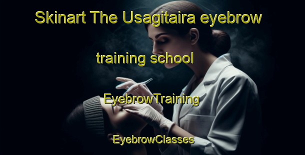 Skinart The Usagitaira eyebrow training school | EyebrowTraining | EyebrowClasses | SkinartTraining-Japan