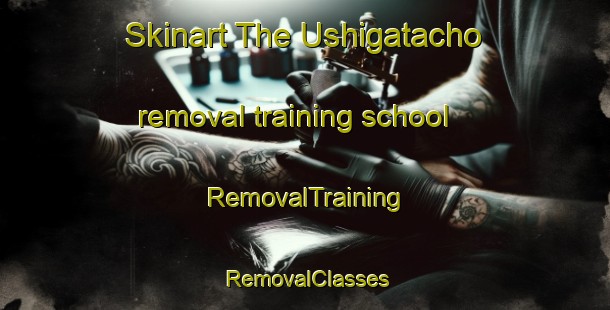 Skinart The Ushigatacho removal training school | RemovalTraining | RemovalClasses | SkinartTraining-Japan