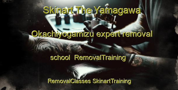 Skinart The Yamagawa Okachiyogamizu expert removal school | #RemovalTraining #RemovalClasses #SkinartTraining-Japan