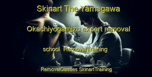 Skinart The Yamagawa Okachiyogamizu expert removal school | #RemovalTraining #RemovalClasses #SkinartTraining-Japan