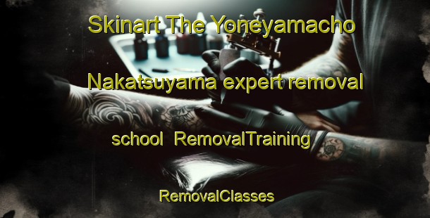 Skinart The Yoneyamacho Nakatsuyama expert removal school | RemovalTraining | RemovalClasses | SkinartTraining-Japan
