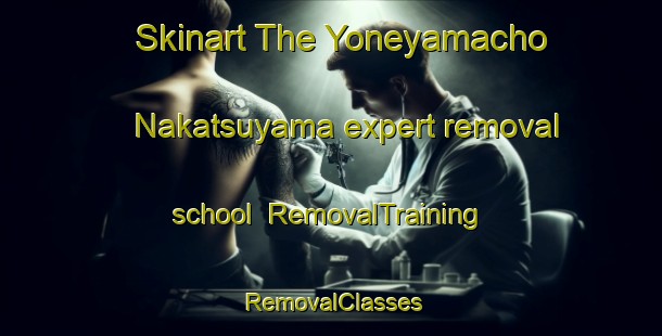 Skinart The Yoneyamacho Nakatsuyama expert removal school | RemovalTraining | RemovalClasses | SkinartTraining-Japan