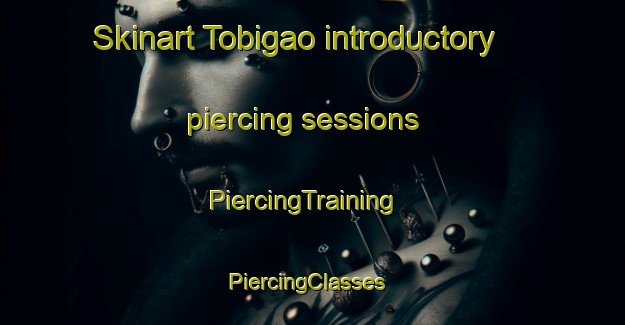 Skinart Tobigao introductory piercing sessions | PiercingTraining | PiercingClasses | SkinartTraining-Japan