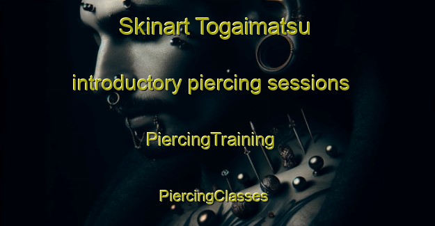 Skinart Togaimatsu introductory piercing sessions | PiercingTraining | PiercingClasses | SkinartTraining-Japan