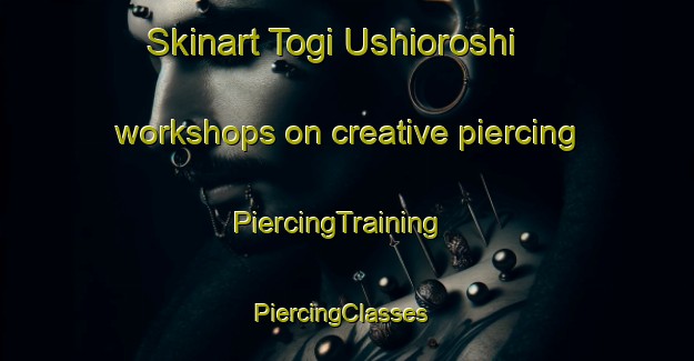 Skinart Togi Ushioroshi workshops on creative piercing | PiercingTraining | PiercingClasses | SkinartTraining-Japan