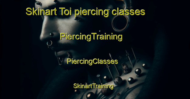 Skinart Toi piercing classes | PiercingTraining | PiercingClasses | SkinartTraining-Japan