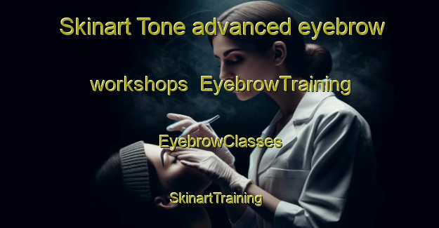 Skinart Tone advanced eyebrow workshops | EyebrowTraining | EyebrowClasses | SkinartTraining-Japan