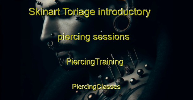 Skinart Toriage introductory piercing sessions | #PiercingTraining #PiercingClasses #SkinartTraining-Japan