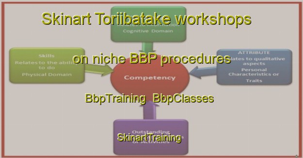 Skinart Toriibatake workshops on niche BBP procedures | BbpTraining | BbpClasses | SkinartTraining-Japan