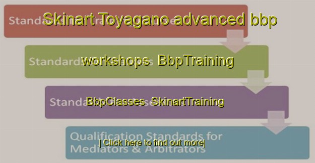 Skinart Toyagano advanced bbp workshops | BbpTraining | BbpClasses | SkinartTraining-Japan