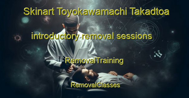 Skinart Toyokawamachi Takadtoa introductory removal sessions | RemovalTraining | RemovalClasses | SkinartTraining-Japan