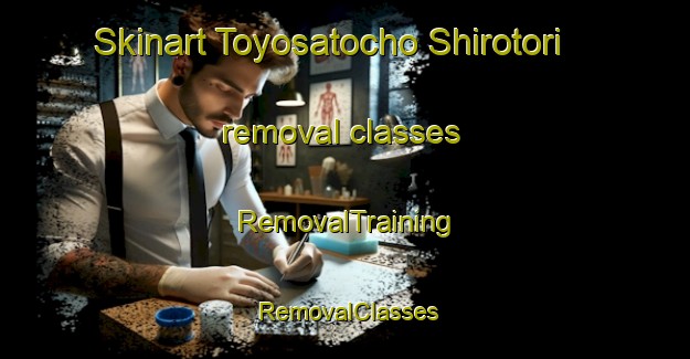 Skinart Toyosatocho Shirotori removal classes | RemovalTraining | RemovalClasses | SkinartTraining-Japan