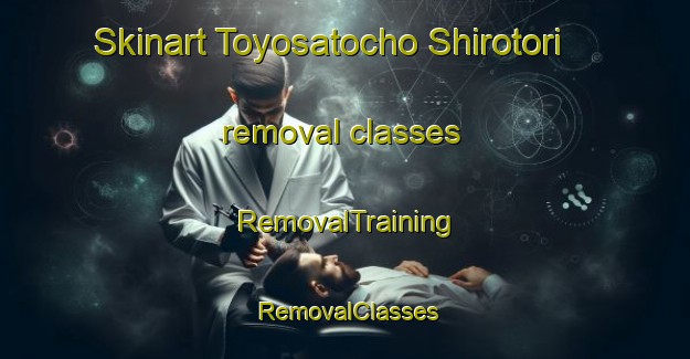 Skinart Toyosatocho Shirotori removal classes | RemovalTraining | RemovalClasses | SkinartTraining-Japan