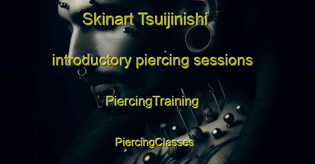 Skinart Tsuijinishi introductory piercing sessions | PiercingTraining | PiercingClasses | SkinartTraining-Japan