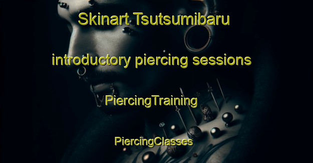 Skinart Tsutsumibaru introductory piercing sessions | PiercingTraining | PiercingClasses | SkinartTraining-Japan