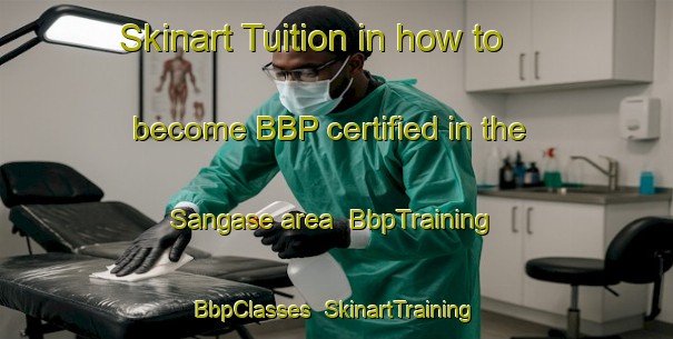 Skinart Tuition in how to become BBP certified in the Sangase area | BbpTraining | BbpClasses | SkinartTraining-Japan