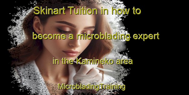 Skinart Tuition in how to become a microblading expert in the Kamineko area | MicrobladingTraining | MicrobladingClasses | SkinartTraining-Japan