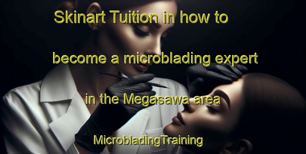 Skinart Tuition in how to become a microblading expert in the Megasawa area | MicrobladingTraining | MicrobladingClasses | SkinartTraining-Japan