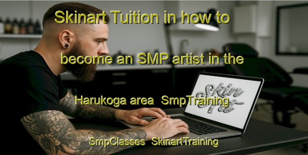 Skinart Tuition in how to become an SMP artist in the Harukoga area | SmpTraining | SmpClasses | SkinartTraining-Japan
