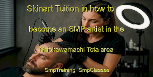 Skinart Tuition in how to become an SMP artist in the Shiokawamachi Tota area | SmpTraining | SmpClasses | SkinartTraining-Japan