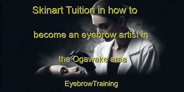 Skinart Tuition in how to become an eyebrow artist in the Ogawake area | EyebrowTraining | EyebrowClasses | SkinartTraining-Japan