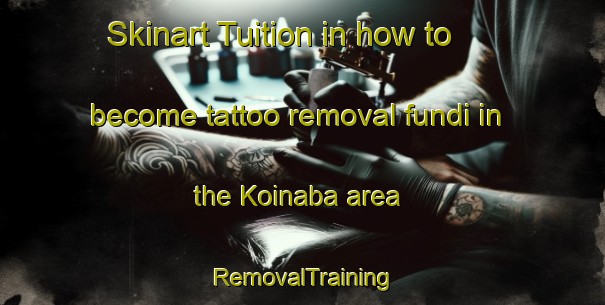 Skinart Tuition in how to become tattoo removal fundi in the Koinaba area | RemovalTraining | RemovalClasses | SkinartTraining-Japan