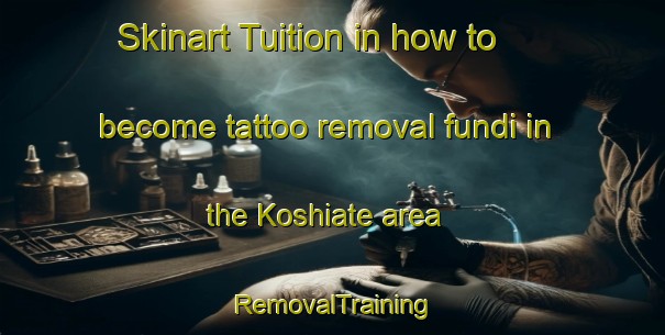 Skinart Tuition in how to become tattoo removal fundi in the Koshiate area | RemovalTraining | RemovalClasses | SkinartTraining-Japan