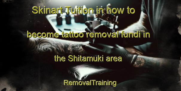 Skinart Tuition in how to become tattoo removal fundi in the Shitamuki area | RemovalTraining | RemovalClasses | SkinartTraining-Japan