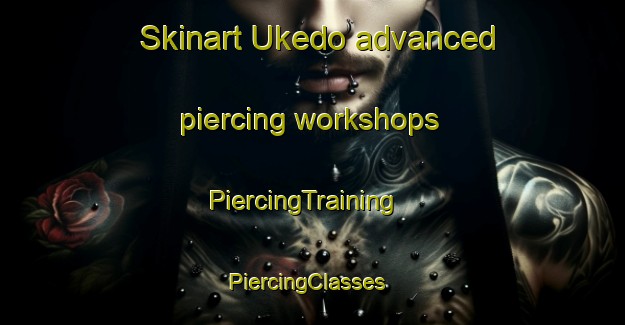 Skinart Ukedo advanced piercing workshops | PiercingTraining | PiercingClasses | SkinartTraining-Japan