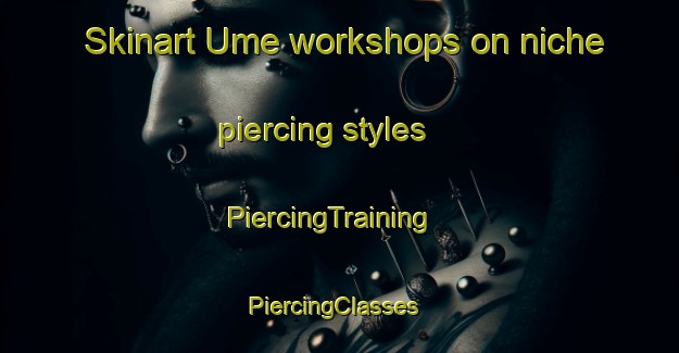 Skinart Ume workshops on niche piercing styles | PiercingTraining | PiercingClasses | SkinartTraining-Japan