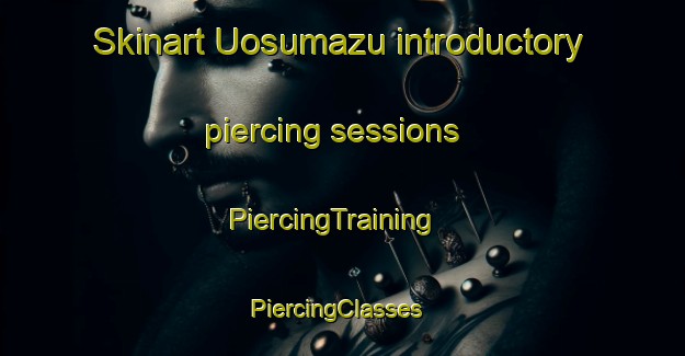 Skinart Uosumazu introductory piercing sessions | PiercingTraining | PiercingClasses | SkinartTraining-Japan