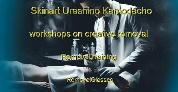 Skinart Ureshino Kamodacho workshops on creative removal | RemovalTraining | RemovalClasses | SkinartTraining-Japan