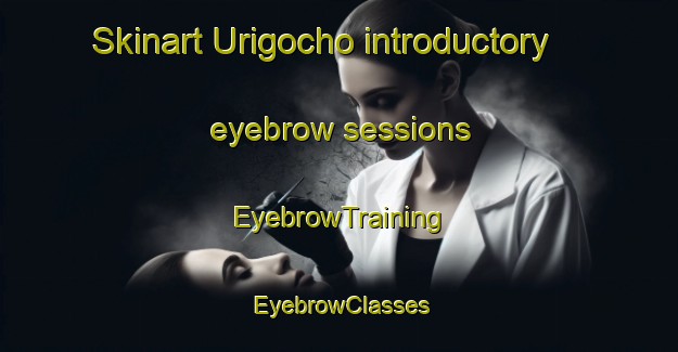 Skinart Urigocho introductory eyebrow sessions | EyebrowTraining | EyebrowClasses | SkinartTraining-Japan
