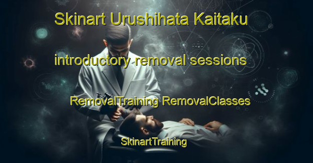 Skinart Urushihata Kaitaku introductory removal sessions | #RemovalTraining #RemovalClasses #SkinartTraining-Japan