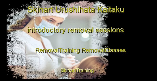 Skinart Urushihata Kaitaku introductory removal sessions | #RemovalTraining #RemovalClasses #SkinartTraining-Japan