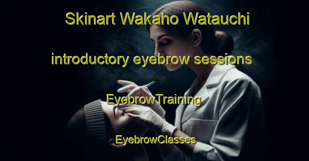 Skinart Wakaho Watauchi introductory eyebrow sessions | EyebrowTraining | EyebrowClasses | SkinartTraining-Japan